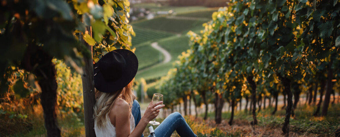 young-blonde-woman-relaxing-vineyards-summer-season-with-bottle-wine young-blonde-woman-relaxing-vineyards-summer-season-with-bottle-wine